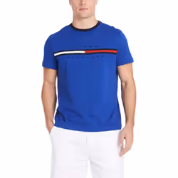 Tommy Hilfiger Men's Regular Short Sleeve Logo T-Shirt  Mazarine Blue-