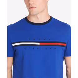 Tommy Hilfiger Men's Regular Short Sleeve Logo T-Shirt  Mazarine Blue-