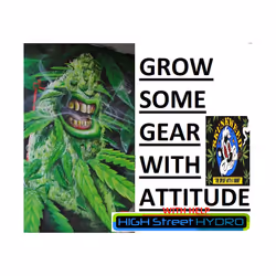 CANNA  NUTRTIENT / PICK AND MIX / HIGHSTREETHYDRO - CANNA BOOST 1 LTR