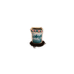 CANNA COCO PROFESSIONAL + 50 LTR COCONUT GROWING MEDIUM - 1 BAG