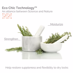 GIOVANNI ECO CHIC 50:50 Balanced Hydrating Clarifying Shampoo - Leaves Hair pH Balanced for Over-Processed Hair  Provides Moisture & Protection  Salon