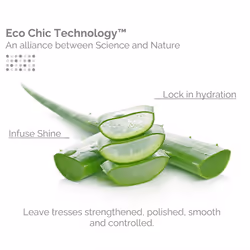 GIOVANNI Eco Chic Smooth as Silk Deep Moisture Shampoo - Apple + Aloe Extracts  Calms Frizz  Detangles  Wash & Go  Lauryl & Laureth Sulfate Free  Para