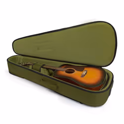 Gator Cases G-ICONDREAD-GRN, Backpack case, Green, Fabric, Nylon, Velvet, Green, Fabric, Zipper