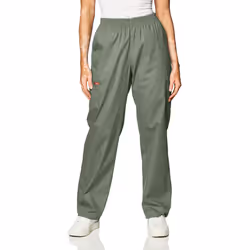 Dickies Women's Signature Elastic Waist Scrubs Pant Olive X-Small Pe