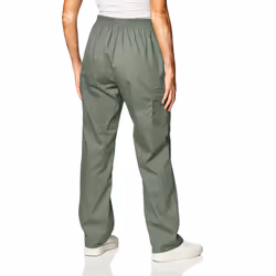 Dickies Women's Signature Elastic Waist Scrubs Pant  Olive  X-Small Pe