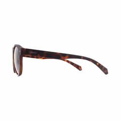Polaroid Sunglasses 6042/S 086 SP Dark Havana Bronze Polarized