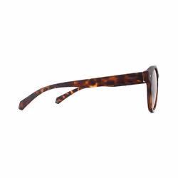 Polaroid Sunglasses 6042/S 086 SP Dark Havana Bronze Polarized