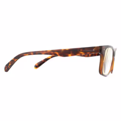 Polaroid Glasses Readers 0023/R 086 Havana +1.0 Blue Light Block
