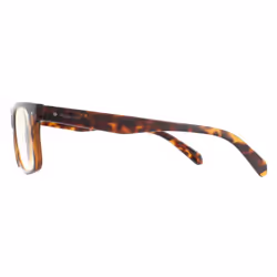 Polaroid Glasses Readers 0023/R 086 Havana +1.0 Blue Light Block