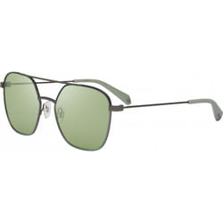 Polaroid PLD6058S-1EDUC PLD6058S 56 1EDUC Sunglasses