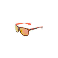 Sun glasses unisex Polaroid brown