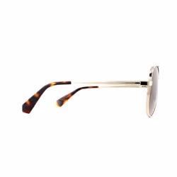 Polaroid Sunglasses PLD 6069/S/X J5G LA Gold Brown Gradient Polarized