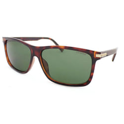 POLAROID Unisex Polarized Sunglasses  PLD2075 - Dark Brown Havana 086