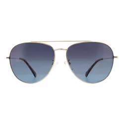 Polaroid Sunglasses PLD 2083/G/S J5G WJ Gold Grey Gradient Polarized