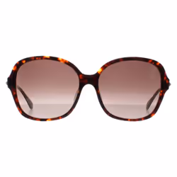 Kate Spade Sunglasses Kaiya/F/S 086 HA Havana Brown Gradient
