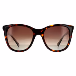 Polaroid Sunglasses PLD 4096/S/X 086 LA Havana Brown Brown Gradient Polarized