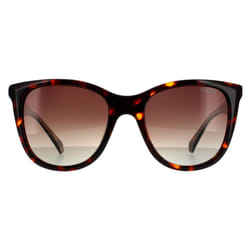 Polaroid Sunglasses PLD 4096/S/X 086 LA Havana Brown  Brown Gradient Polarized