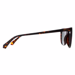 Polaroid Sunglasses PLD 4161/S 086 UC Havana Green Polarized
