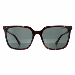 Polaroid Sunglasses PLD 4163/S 086 UC Havana Green Polarized
