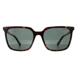 Polaroid Sunglasses PLD 4163/S 086 UC Havana Green Polarized
