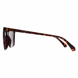 Polaroid Sunglasses PLD 4163/S 086 UC Havana Green Polarized