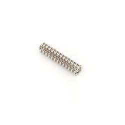 Jaguar Mute System Compression Spring  .240ODx1.00