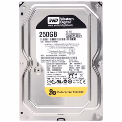 250GB 7200RPM 64MB Cache SATA 3Gb/s- RE4 - WD2503ABYX