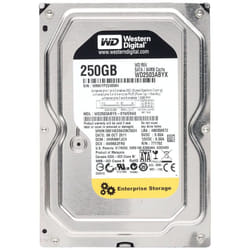 250GB 7200RPM 64MB Cache SATA 3Gb/s- RE4 - WD2503ABYX