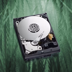 Western Digital Caviar Green 2TB internal hard drive Variable 64 MB 3.5" Serial ATA III - Additional view 7