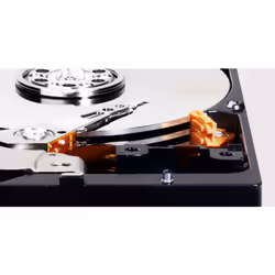 Western Digital Blue internal hard drive 6 TB 5400 RPM 256 MB 3.5" Serial ATA III