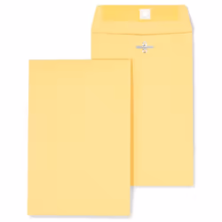Staples 186999 Brown Kraft Clasp 6-Inch X 9-Inch Envelopes 100/Box
