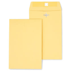 Staples 186999 Brown Kraft Clasp 6-Inch X 9-Inch Envelopes 100/Box