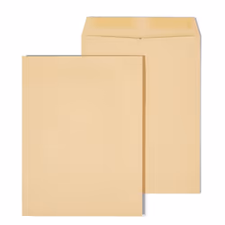 Staples 194969 Catalog Envelopes 9-Inch X 12-Inch Brown Kraft 100/Box