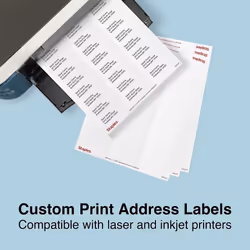 White Mailing Labels for Laser & Inkjet Printers  1"""" x 2-5/8""""  750/Box