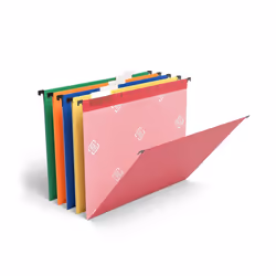 Staples 813110 Reinforced Hanging File Folders 5-Tab Letter Size Asst. Colors 25/Bx