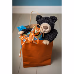 Mary Meyer Cozy Toes Black Bear - 17"