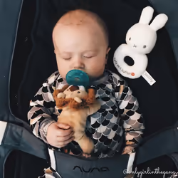 Mary Meyer Afrique Lion WubbaNub Pacifier