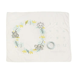 Enchanting Disney Baby Themed Milestone Photo Blanket Baby Shower Gift