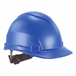 Ergodyne 60273, Polyethylene, Blue, Unisex, Construction, Facility maintenance, Forestry, 1 pc(s)