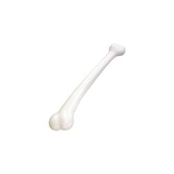 Forum Novelties Prehistoric Caveman Cavewoman Costume Jumbo Bone   White