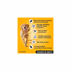 Pedigree Adult Wet Dog Food Mixed Selection in Gravy, 6x400g