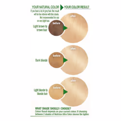 Garnier Nutrisse Ultra Color 10.1 Ice Blonde Permanent Hair Dye