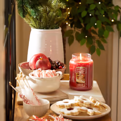 Yankee Candle Sparkling Cinnamon Scented  Classic 22oz Large Jar Single Wick Candle  Over 110 Hours of Burn Time | Holiday Gifts for All: Perfect for