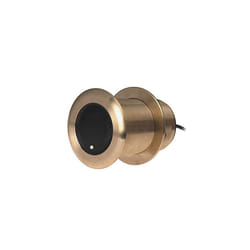 Raymarine Xdcr  ChirpM  Bronze LP  20 tilt  600W