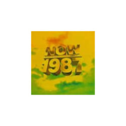 Various  Now Thats What I Call Music 1987 - 10th CD