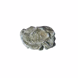 Woodland Scenics C1237, 14 yr(s), Grey