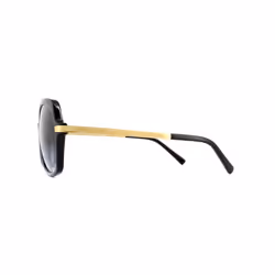Michael Kors Sunglasses Adrianna II 2024 316011 Black Gold Light Grey Gradient