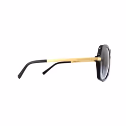 Michael Kors Sunglasses Adrianna II 2024 316011 Black Gold Light Grey Gradient