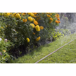 GARDENA hose sprinkler: Fine sprinklers for irrigation of elongated, narrow zones, length 15 m, equipped ready for installation, brown, individually s