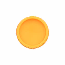 Burt's Bees Mango Moisturizing Lip Balm By Burts Bees for Unisex  0.15 Ounce